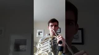 My unique interpretation Tchaikovsky Symphony 5 movement 2 horn solo [upl. by Neirrad]