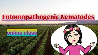 Entomopathogenic NematodeEPN  online class  Nematology series [upl. by Ttezzil377]