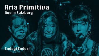 Aria Primitiva  Thierry Zaboitzeff  live  Endayi Endesi [upl. by Ahsitniuq]