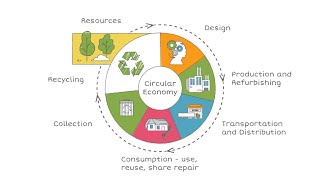 Circular Economy [upl. by Pollack]