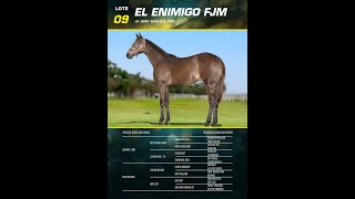 Lote 9  EL ENIMIGO FJM [upl. by Yeloc]