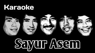 Sayur Asem  Koes Plus  Karaoke HQ Audio [upl. by Allimak399]