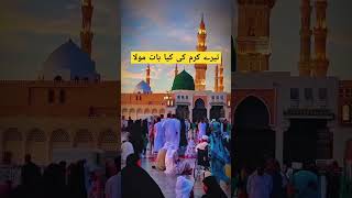 Tarya hrm ki kya bat mola😘🌹shortvideo islamic trending [upl. by Ynffit525]