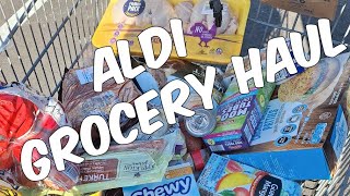 Aldi Grocery Haul [upl. by Grete]