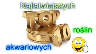 10 Najłatwiejszych roślin akwariowych [upl. by Katherin]