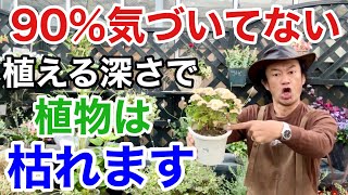 【ほとんど間違い】植物の正しい植え付け位置教えます【ウォータースペース】 【園芸】【ガーデニング】【カーメン君】 [upl. by Hploda]