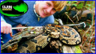 Giant GRUMPY Christmas Canebrake Rattlesnake [upl. by Ecirtael942]