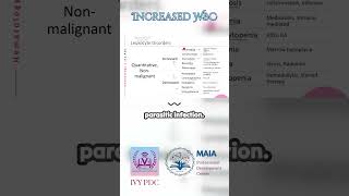 Leukocytosis Increased WBC [upl. by Yniffit]