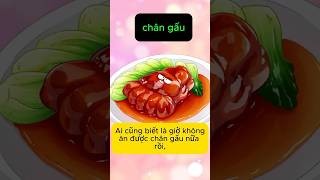 Chân Gấu Có Thực Sự Ngon Không   Gino Nguyễn kienthuc [upl. by Retsevel]