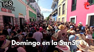 Último día de las fiestas de la calle San Sebastián 2024 [upl. by Naols618]