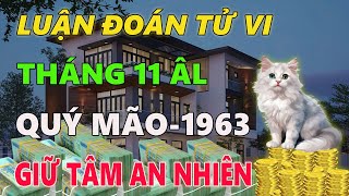 Tử vi QUÝ MÃO 1963 1963 tháng 11 ÂL GIỮ TINH THẦN LẠC QUAN AN NHIÊN ĐỐI DIỆN VỚI MỌI BIẾN CỐ [upl. by Eyanaj]