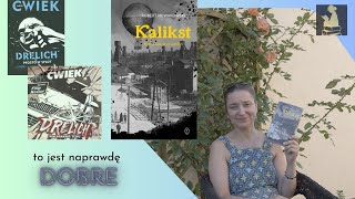 Świetna powieść o XIX wieku i genialny thriller sensacyjny Kalikst Drelich literaturapolska [upl. by Nelo]