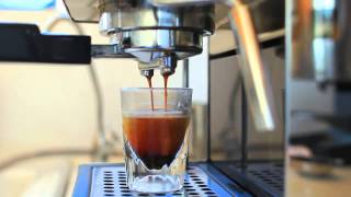 Gaggia Classic Espresso Extraction [upl. by Maure]