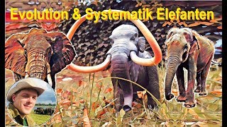 Evolution und Systematik von Elefanten [upl. by Missy]