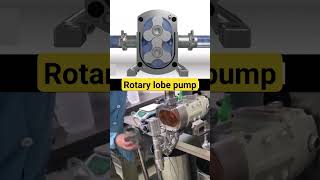 rotary lobe pump mechanism machinedesign pump mechanism mechanicalengineering automation cad [upl. by Orfield]