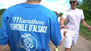 Marathon du Vignoble dAlsace 2017 [upl. by Ennavoj19]