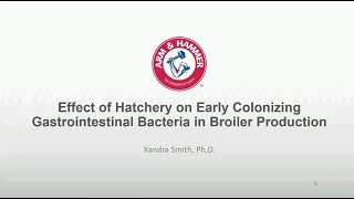 Effect of Hatchery on Early Colonizing Gastrointestinal Bacteria in Broiler Production [upl. by Yerg740]