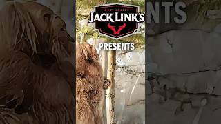 Sasquatch VS Balloon  Jack Links Funny Videos  Funny Commercials [upl. by Lledyr236]