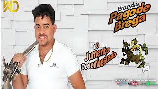 JUMENTO DESEMBESTADO 🐴 PAGODE BREGA CD 💿2024 ATUALIZADO [upl. by Nicolina]