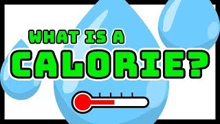 What is a Calorie Explained in terms of Energy Food amp Calorie Burn [upl. by Atinehc]