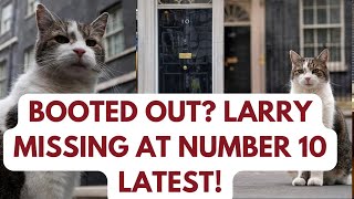 DOWNING STREET LARRY TOTALLY DISAPPEARS WHAT HAPPENED  larrythecat downingstreet keirstarmer [upl. by Grannias]