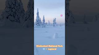 The time is coming ❄️ Riisitunturi National Park  Lapland  Finland 🇫🇮 lapland finland [upl. by Aibos]