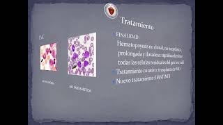 UT15  Leucemia mieloide cronica y mielodisplasia Prof Dra Fernández [upl. by Orlena]