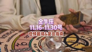 金牛座，11161130号，感情困境amp复合指南 无法挽回的感情有哪些特征 [upl. by Elidad]