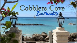 Cobblers Cove Hotel Barbados ✨☀️🏝 Full walking tour part 1 ✨Beach Walk [upl. by Deutsch470]