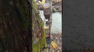 DIY Water filter in 1 minute [upl. by Nicolai]