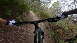 2019 Norco Range A2 Enduro Quick First Ride [upl. by Alig61]