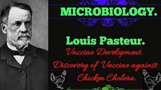 Louis Pasteur  Chicken Cholera Vaccine EnteMicrobialWorldmicrobiology microbes vaccine [upl. by Nikolai]