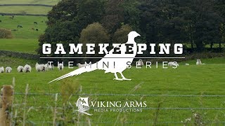 Gamekeeping The Mini Series  Pheasant E4 [upl. by Ainadi266]