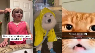 THE FUNNIEST TIK TOK MEMES OF The month 01 Try Not To LAUGH [upl. by Geddes886]