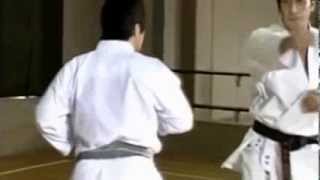 SKIF Kihon Ippon Kumite [upl. by Gnart]