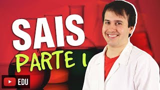 7 Funções Inorgânicas Sais 13 Química Geral [upl. by Attela]