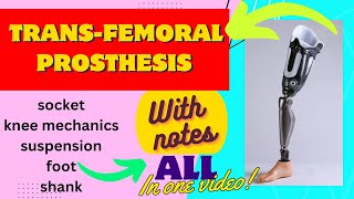 Transfemoral prosthesis all parts socket knee unit suspension foot etc detailed explanation [upl. by Gillett744]