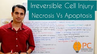 Irreversible Cell Injury or Cell Death Pathology  Necrosis Vs Apoptosis [upl. by Silsbye]