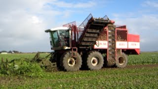 Bietenrooien met WKM  Agrifac Big Six op Texel [upl. by Pooi735]