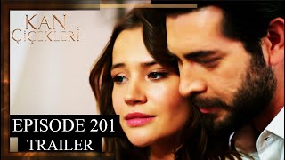 Kan Cicekleri Flores De Sangre Episode 201 Trailer  English Dubbing and Subtitles [upl. by Kassia]