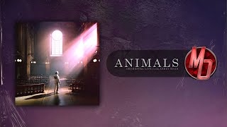 Architects Animals Orchestra Live from Abbey Road [upl. by Dolloff787]