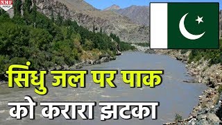 बूंदबूंद पानी के लिए तरसेगा Pakistan Ravi River के Water का जमकर इस्तेमाल करेगा India [upl. by Labinnah]