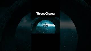 All 7 Chakras in 1 Minute [upl. by Dewar351]