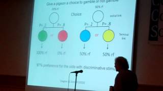 CO3 2014  Master Lecture  Tom Zentall [upl. by Beatrix]