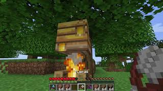 Cosas de abejas  Minecraft 50 [upl. by Hutchins822]