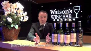 WineTV  Chateau HautBrion [upl. by Ettenoitna]