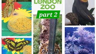 London zoo October 2024 Part 2 [upl. by Skillern]