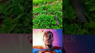 Fish walks to his water for safely fish superman starman memes comment [upl. by Lanos]