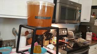 Passionfruit Weissbier Wheat Beer Bottling Day Using Catalyst Fermenter [upl. by Brighton]