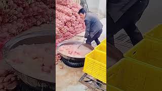 Cleaning process of potatoes [upl. by Addam]